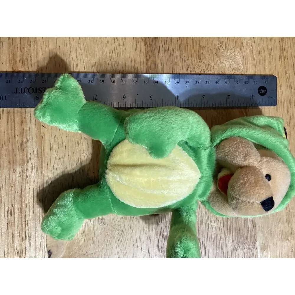 Winnie the Pooh Dressed as a Frog 8